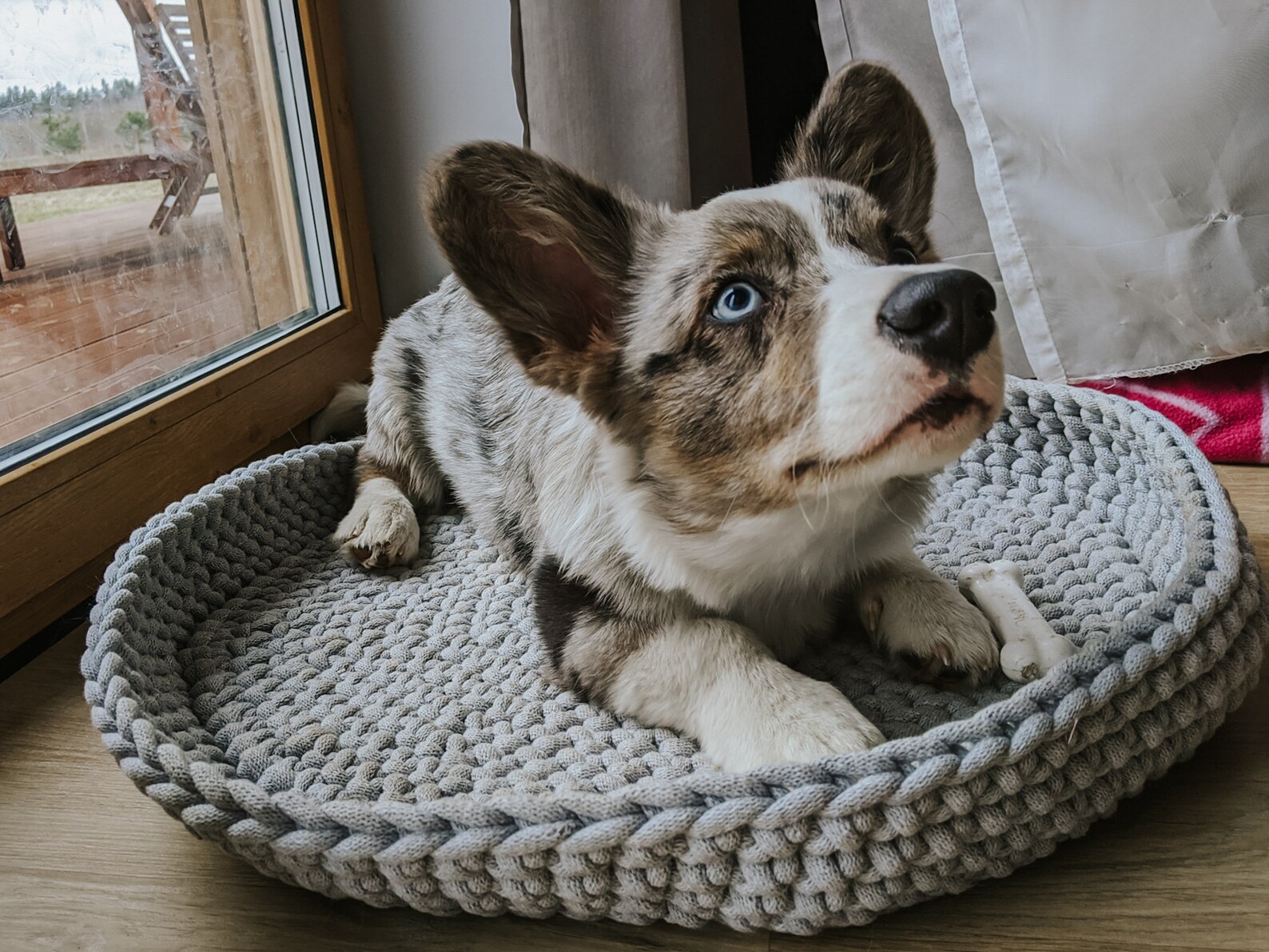 Hund Bett Korb Hund Geburtstagsgeschenk neue Hund Geschenk Etsy