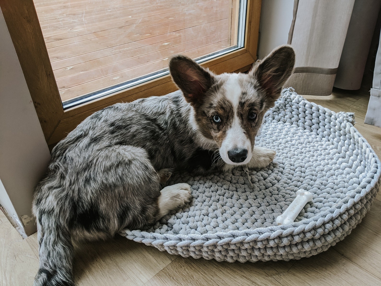 Hund Bett Korb Hund Geburtstagsgeschenk neue Hund Geschenk Etsy