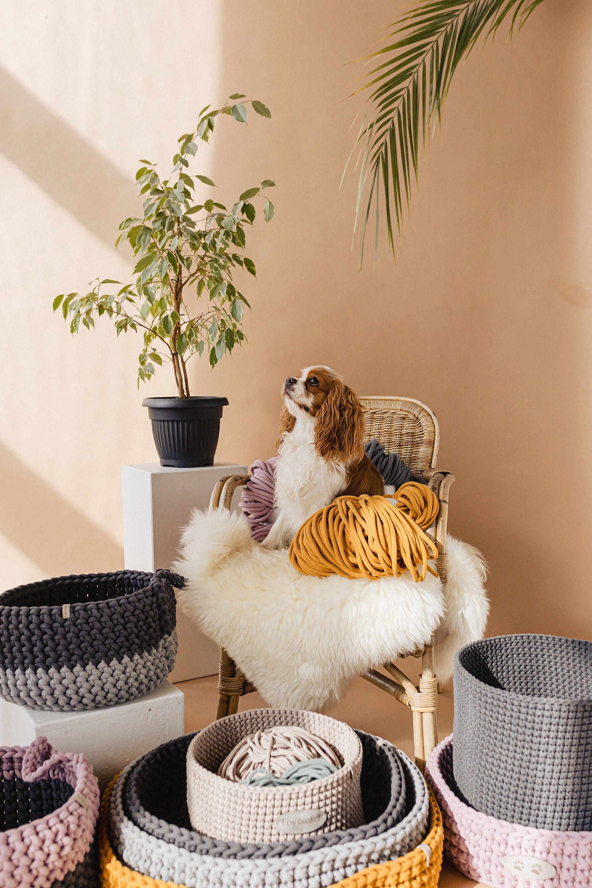 toy basket with name