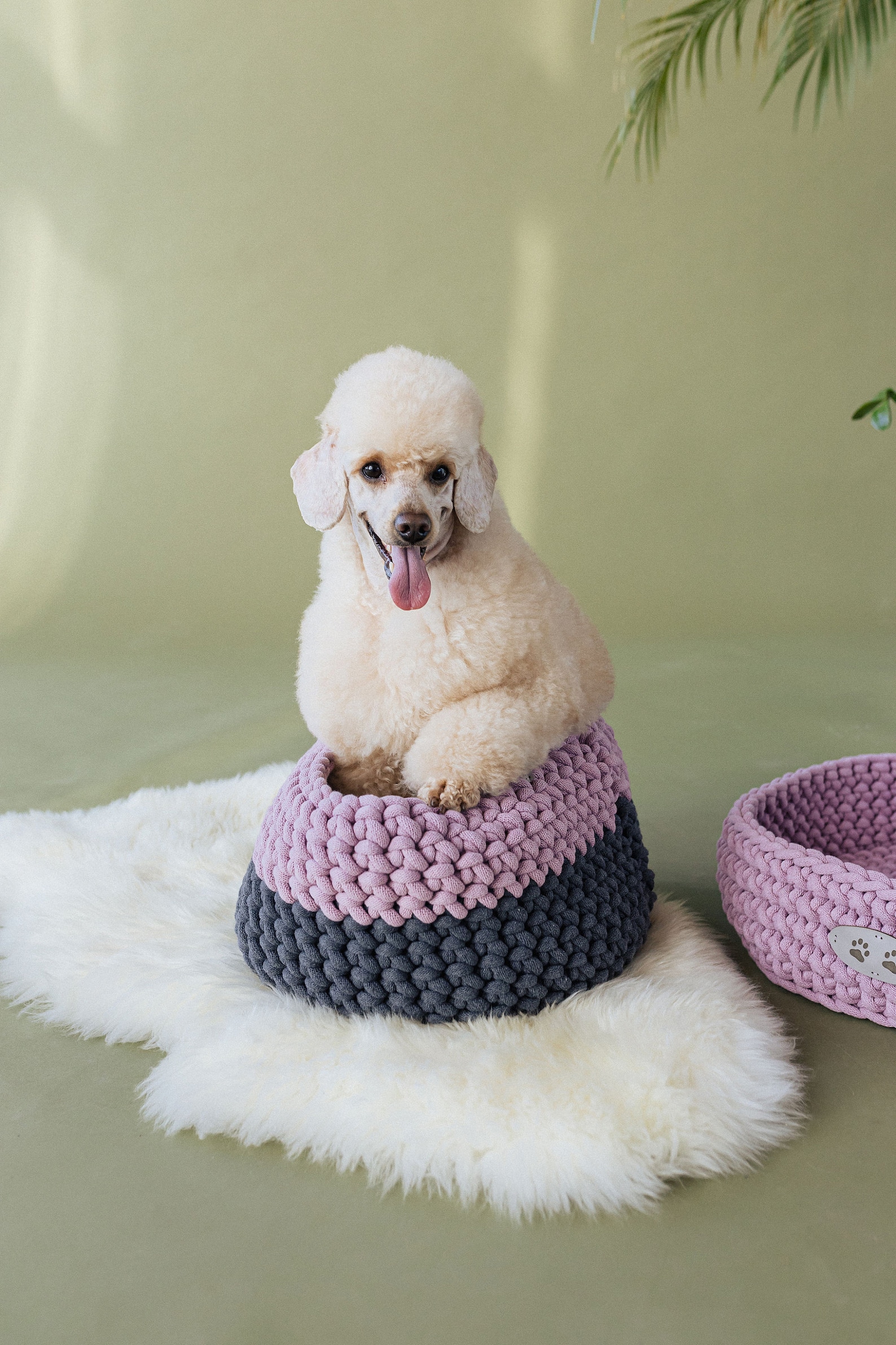 Dog toy basket with name new puppy gift new dog gift modern Etsy