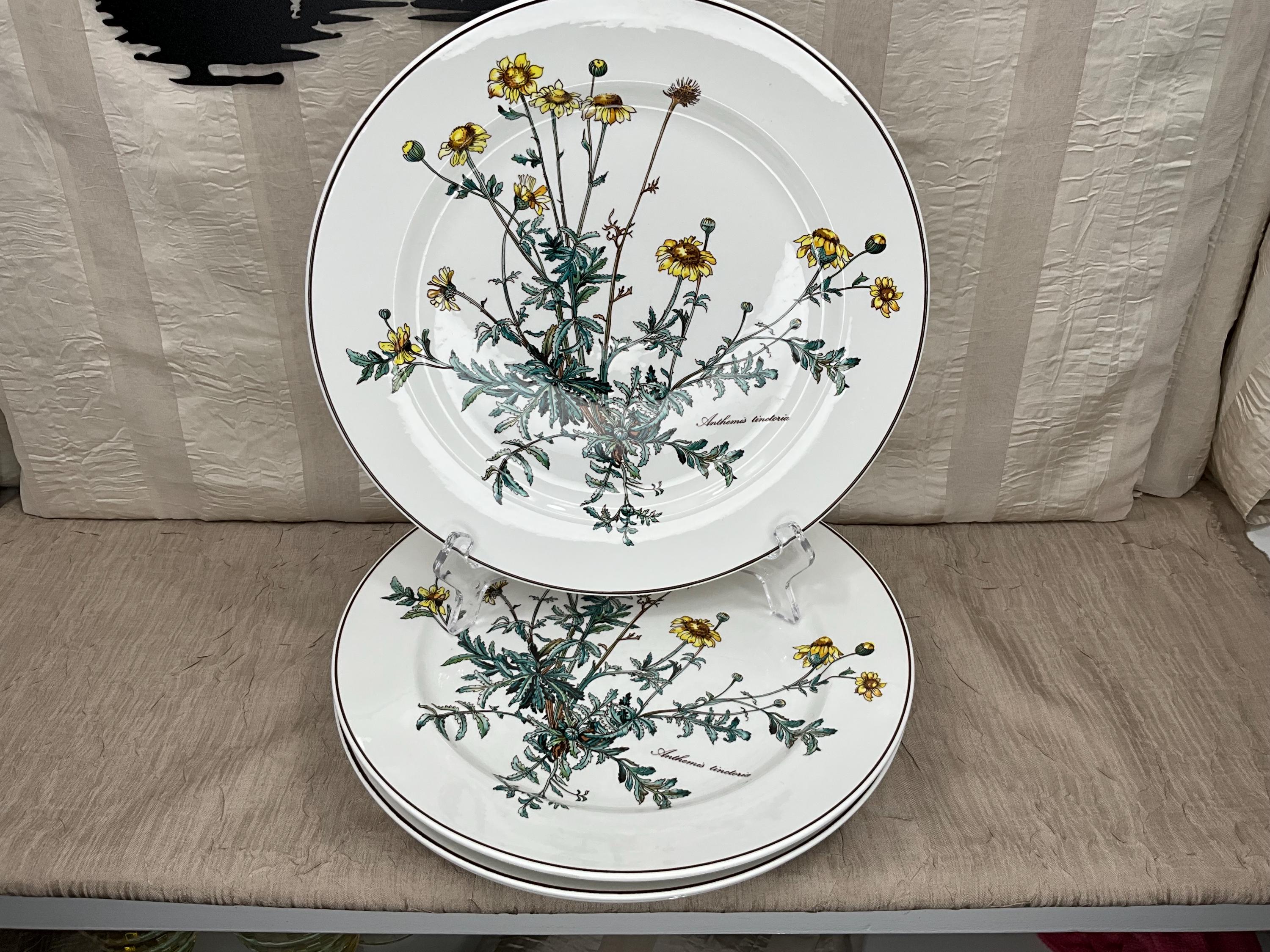 Villeroy Boch Botanica - Etsy