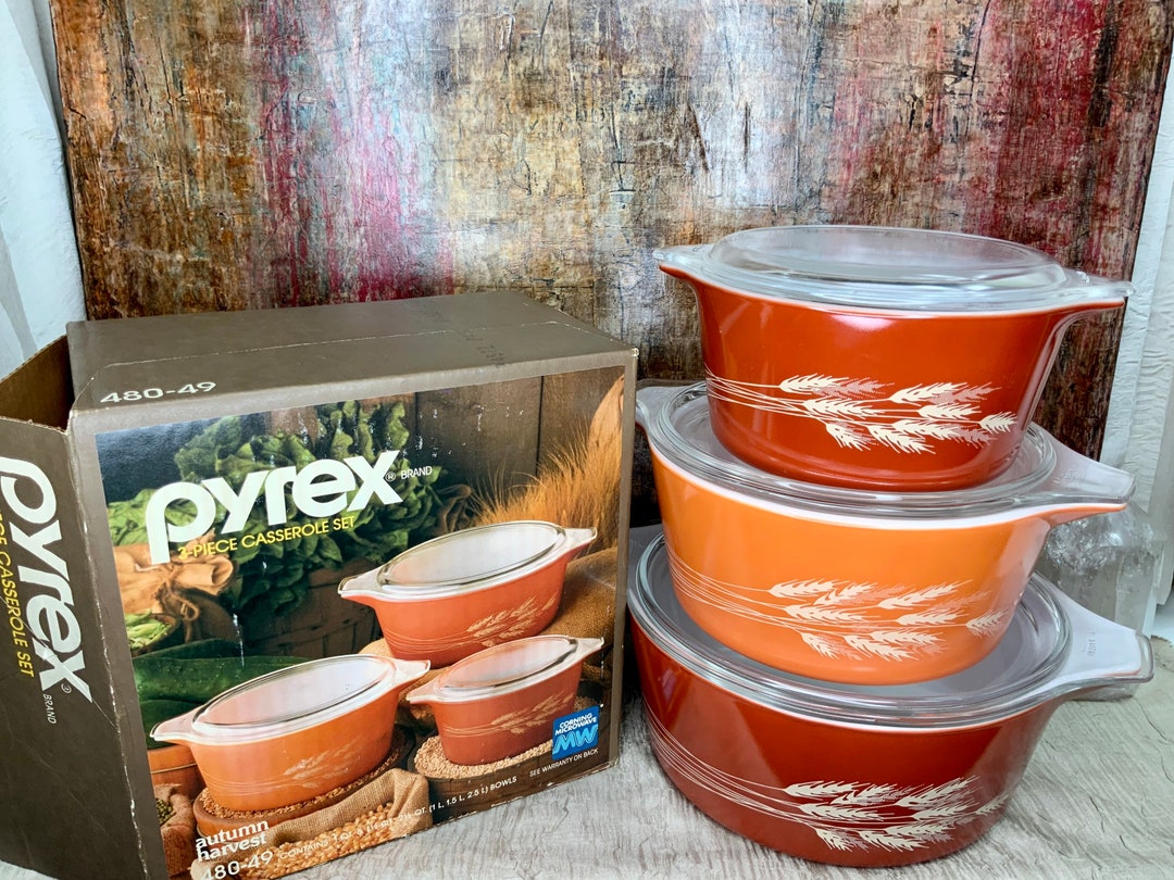 NEW- 2x Plastic Fall Harvest Autumn Food Storage Bowls/Containers