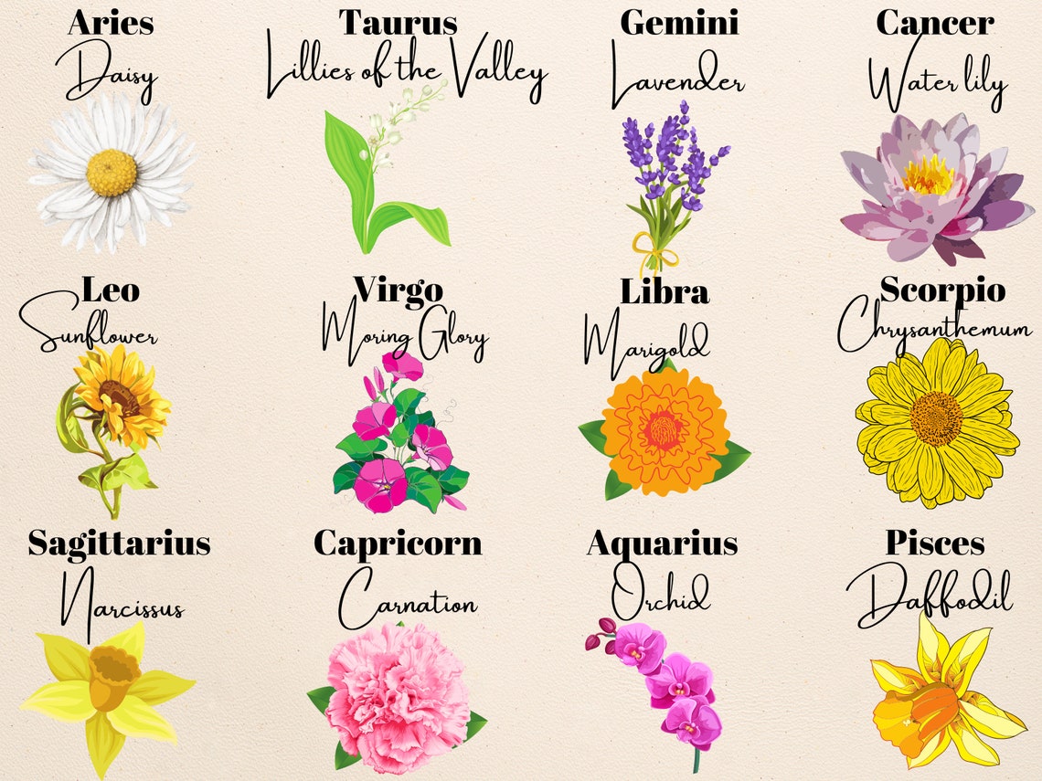 Zodiac Flowers Tshirt Mois de naissance Zodiac Flower Etsy