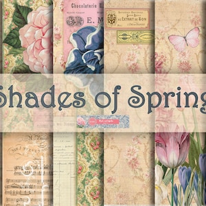 SFUMATURE di PRIMAVERA ENORME Bellissimo kit di diario spazzatura, Back To Basics Ephemera Pack, cancelleria vintage Bullet Journal,