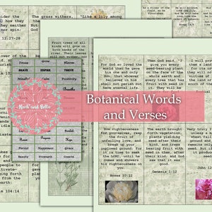 Könnte beinhalten: Eine Collage aus botanischen Wörtern und Bibelversen mit einem rosafarbenen Blumenmuster. Der Text enthält Zitate über Pflanzen, Blumen und Bäume. Die Worte "Botanical Words and Verses" sind in einer großen, rosafarbenen Schrift.