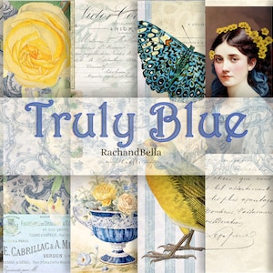 TRULY BLUE Enorme kit di diario 15 pagine Splendidi disegni di carta - Orizzontale e verticale Pagine di diario spazzatura, Scrapbooking