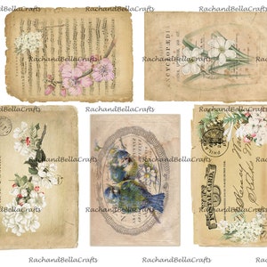 May include: A collection of vintage-style ephemera featuring floral and bird illustrations. The pieces include sheet music, encyclopedia pages, postcards, and an oval-framed image of blue birds. The color palette is primarily beige, with accents of white, pink, and blue.