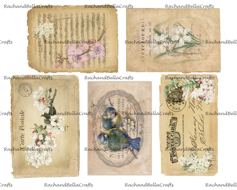 May include: A collection of vintage-style ephemera featuring floral and bird illustrations. The pieces include sheet music, encyclopedia pages, postcards, and an oval-framed image of blue birds. The color palette is primarily beige, with accents of white, pink, and blue.