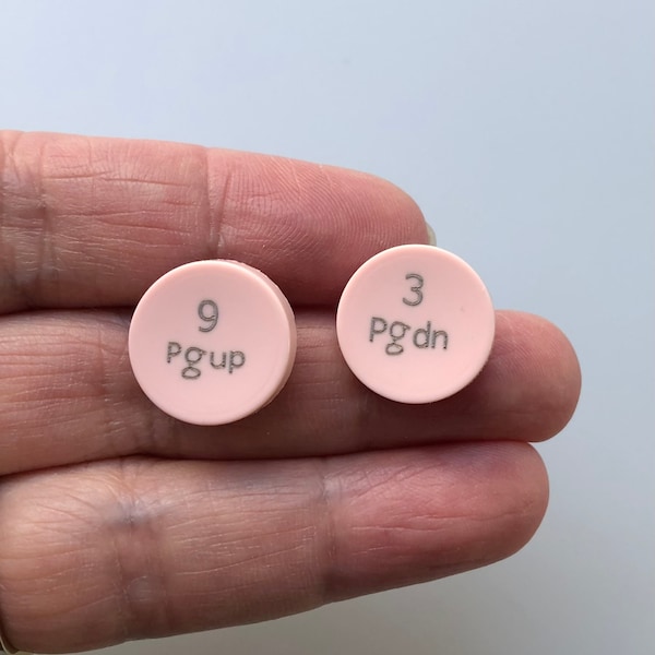 Recycled Computer Key Stud Earrings - Page Up and Page Down - Salmon Pink Color - Miniso Keyboard