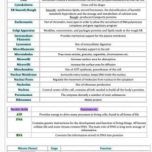 Organelle and Nuclei Acid Functions