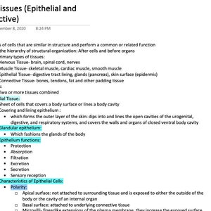 Tissues: Epithelial and Connective Tissues