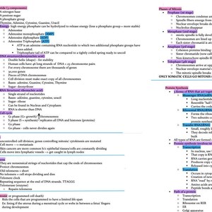 Part 2: Cells, Fluids, Fluid Mosaic Model, Active Transport, Passive Transport (Anatomy and Physiology)