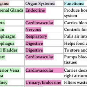 Cuadro de órganos/sistemas de órganos/funciones (anatomía y fisiología)