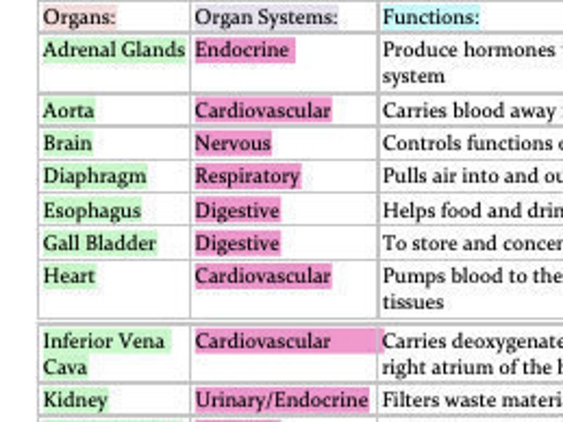 Organs organ Systems functions Chart Anatomy And Physiology Etsy Organs organ Systems functions Chart Anatomy And Physiology Etsy