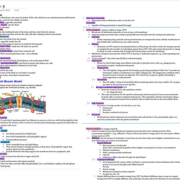 Part 1 : Cells, Fluids, Fluid Mosaic Model, Active Transport, Passive Transport (Anatomy and Physiology)