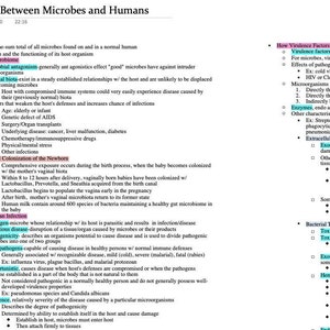 Interaktionen zwischen Mikroben und Menschen- Mikrobiologie (9 Seiten)