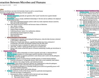 Interaktionen zwischen Mikroben und Menschen- Mikrobiologie (9 Seiten)