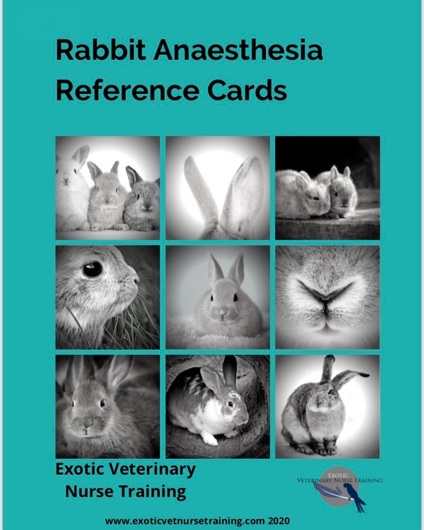 Rabbit Anaesthesia Protocol , ANAESTHETISING RABBITs SAFELY – FJSV
