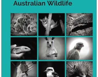 Basic Triage and Husbandry of Australian Wildlife reference cards