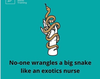 No-one wrangles a big snake like an exotics nurse sticker