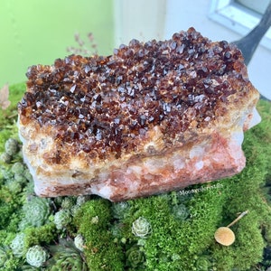 Citrine Crystal Cluster | 2.5 LBS