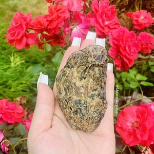 Raw Amber Crystal | Option: F