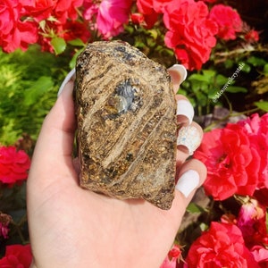 Raw Amber Crystal | Option B