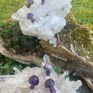 Zierliche Amethyst Kristall Pilze