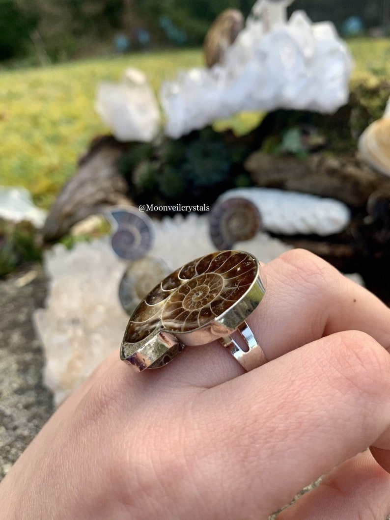 Adjustable Ammonite Shell Silver Ring