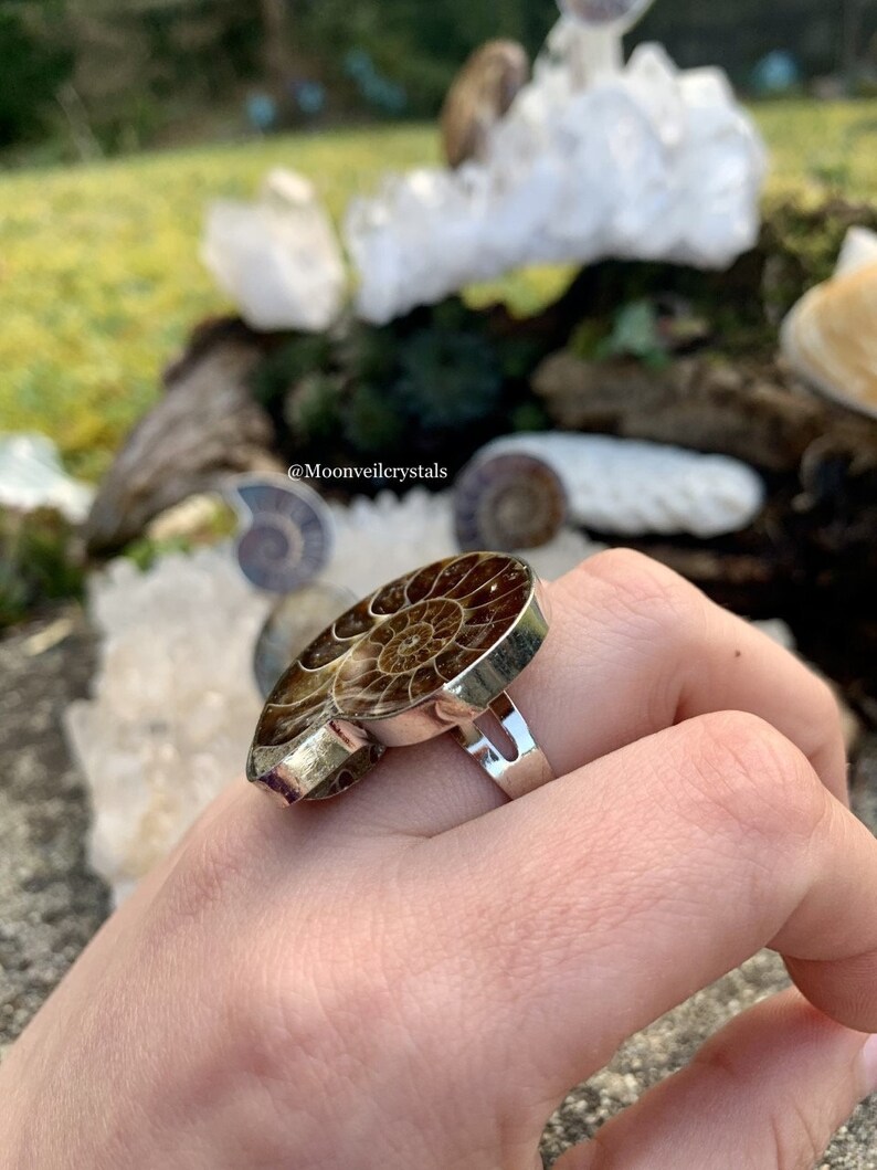Adjustable Ammonite Shell Silver Ring