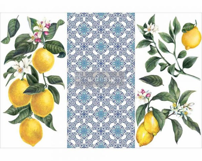 Lemon Tree small transfer by Redesign with Prima 6"x12" - Same Day Shipping - Rub On transfers - Decor transfers - furniture transfers