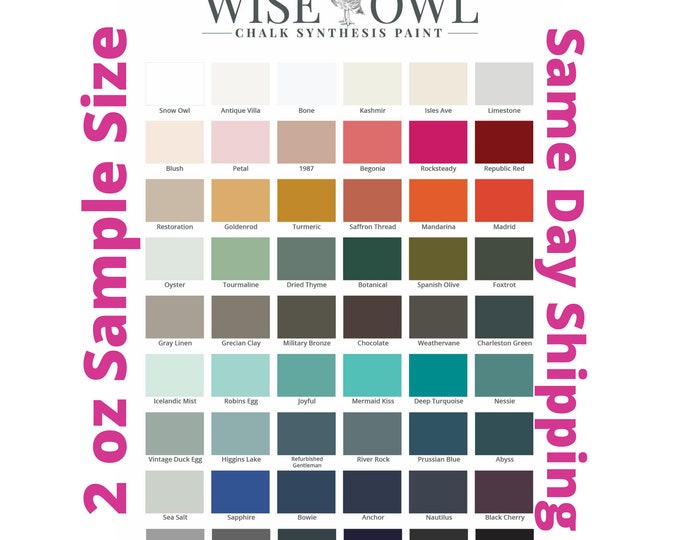 Wise Owl 2 oz Sample Jar Chalk Synthesis Paint - Same Day Shipping - Chalk Paint for Furniture and Cabinets