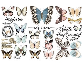 Papillon Collection transfer by Redesign with Prima 6"x12" - Same Day Shipping - Small Transfers - Rub on Transfers - Furniture Decals