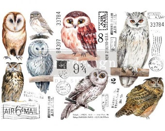Owl transfer by Redesign with Prima 6"x12" - Same Day Shipping - Small Transfers - Furniture Transfers - Rub on Transfer - Décor Transfers