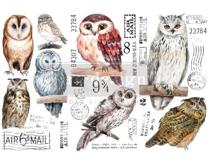 Owl transfer by Redesign with Prima 6"x12" - Same Day Shipping - Small Transfers - Rub on Transfers - Furniture Transfers - Décor Transfers