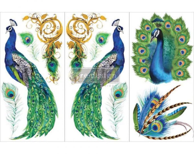 Peacock Paradise small transfer Redesign with Prima 6"x12" - Same Day Shipping - Rub On transfers - Decor transfer - furniture transfer