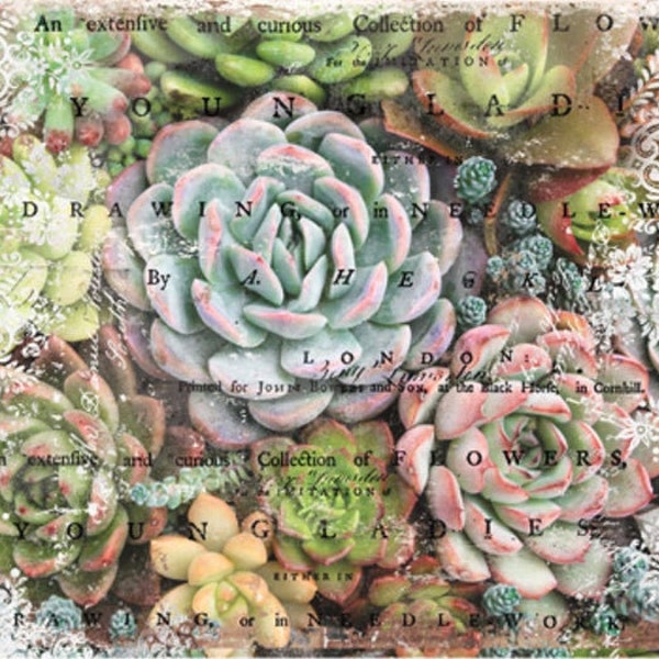 Zuri Mulberry Decoupage tissue paper 1 sheet - Redesign by Prima - Same Day Shipping - Succulent Decor - Furniture Decoupage Paper - DIY