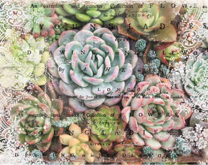 Zuri Mulberry Decoupage tissue paper 1 sheet - Redesign by Prima - Same Day Shipping - Succulent Decor - Furniture Decoupage Paper - DIY