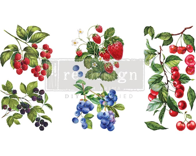 Sweet Berries small transfer by Redesign with Prima 6"x12" - Same Day Shipping - Rub On transfers - Decor transfers