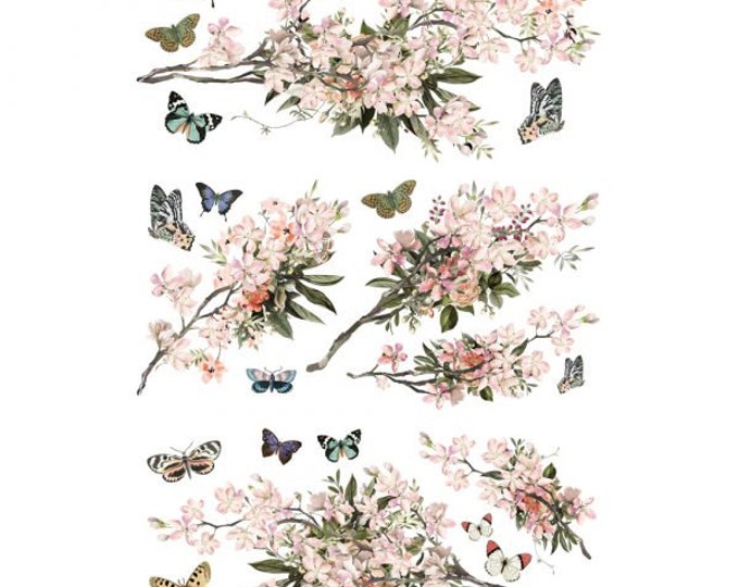 Blossom Botanica transfer by Redesign with Prima 24"x35" - Same Day Shipping - Rub on Transfer - Furniture Transfers - Decor Transfers