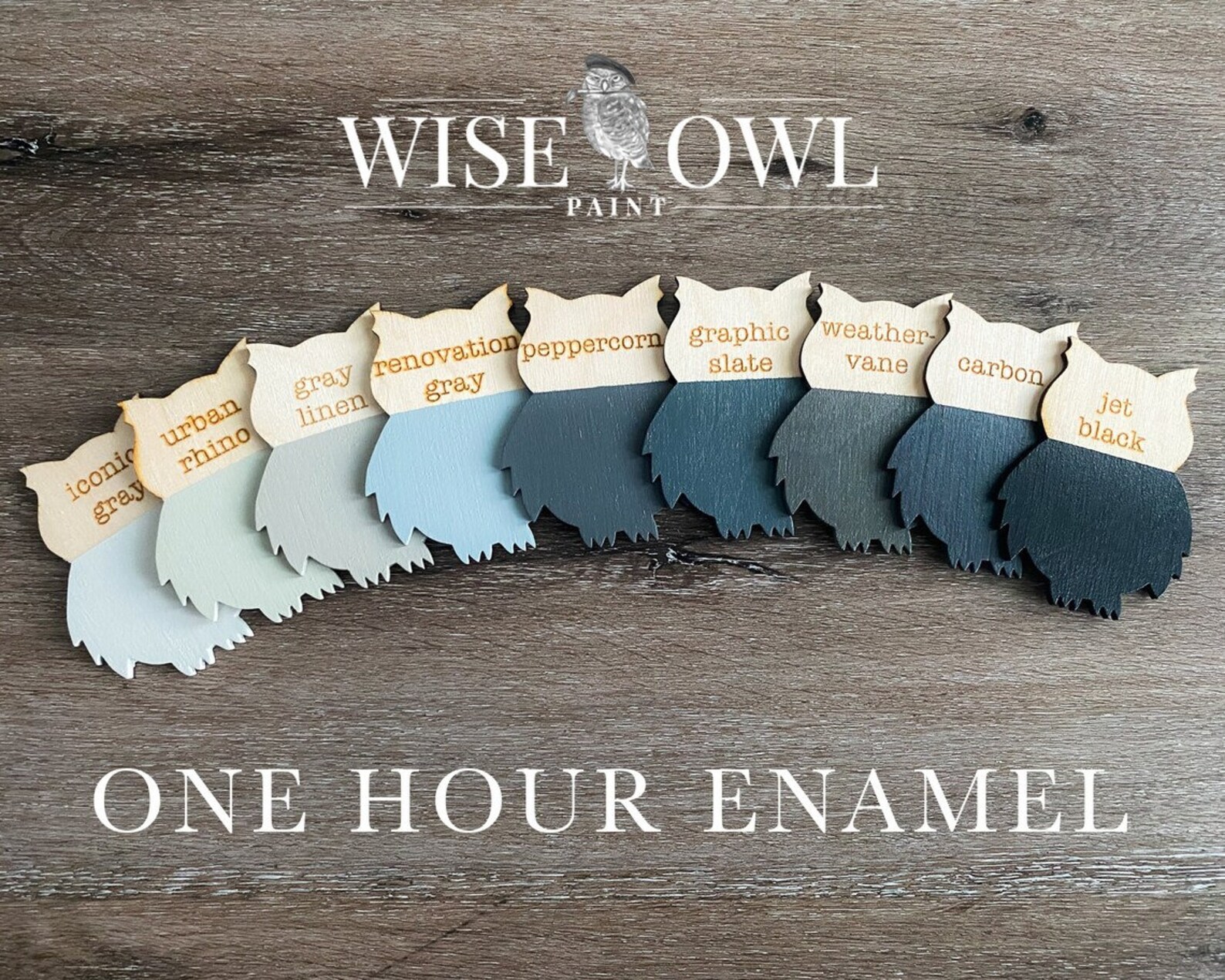Wise Owl One Hour Enamel Paint 32 Oz Quart Free Same Day Etsy