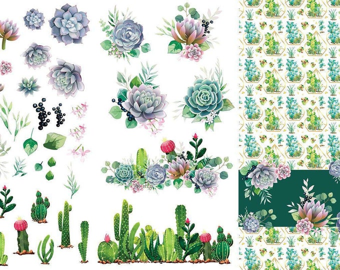 Cacti & Succelents transfer by Dixie Belle 24"x38" - Same Day Shipping - Rub on Transfers - Furniture Transfers - Floral Decor