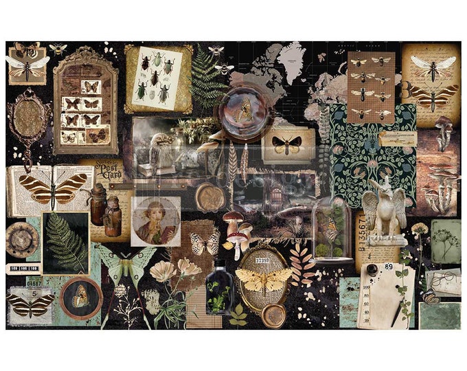 Herbarium Notes  Decoupage Paper - Same Day Shipping -  Redesign with Prima - Collage Chronicles Collection