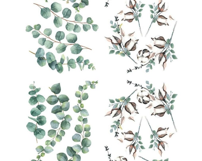 CLEARANCE! Cotton and Eucalyptus transfer by Dixie Belle 24"x38" - Same Day Shipping - Rub on Transfers - Furniture Transfers