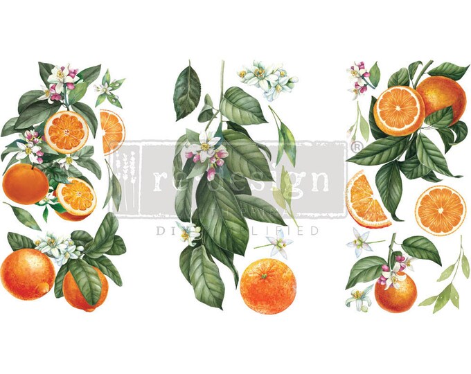 Citrus Slice small transfer by Redesign with Prima 6"x12" - Same Day Shipping - Rub On transfers - Decor transfers