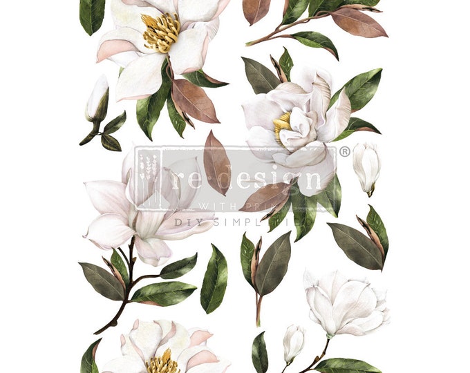 Magnolia transfer by Redesign with Prima 24"x 35" - Same Day Shipping - Rub on Transfer - Furniture Transfer - Floral Furniture Decor