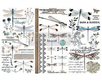 Spring Dragonfly transfer by Redesign with Prima 6"x12" - Same Day Shipping - Rub on Transfers - Small Transfers - Furniture Transfers