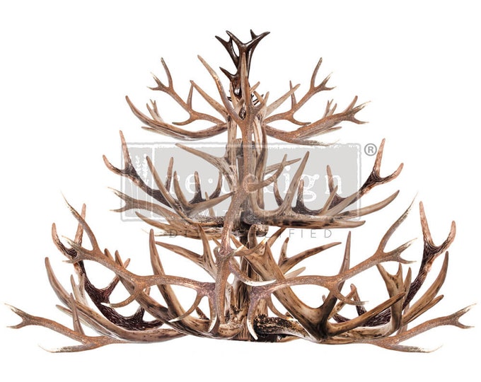 Antler Chandelier transfer by Redesign with Prima 24"x35" - Same Day Shipping - Rub on Transfers - Furniture Transfers