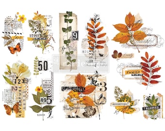 Foliage Collector transfer Redesign with Prima 6"x12" - Same Day Shipping - Fall Decor Transfers - Small Transfers - Rub on Transfers