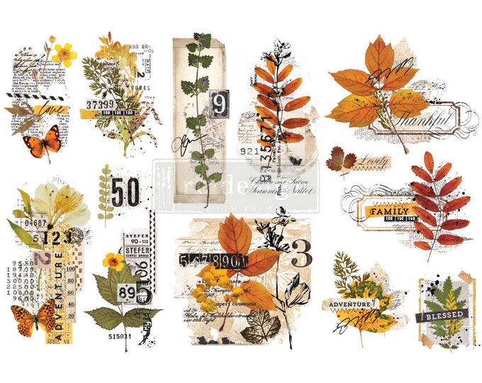 Foliage Collector transfer Redesign with Prima 6"x12" - Same Day Shipping - Fall Decor Transfers - Small Transfers - Rub on Transfers